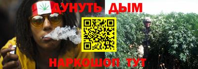 шишки Ливны