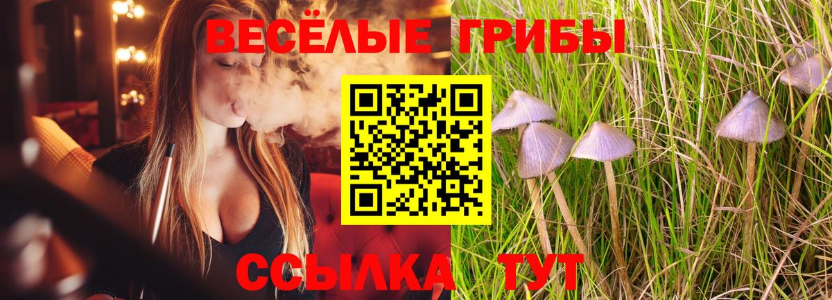 Галлюциногенные грибы GOLDEN TEACHER Северобайкальск