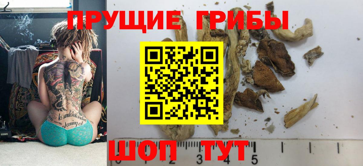 Псилоцибиновые грибы Magic Shrooms  Псилоцибиновые грибы мицелий  Северобайкальск  Вход с VPN 